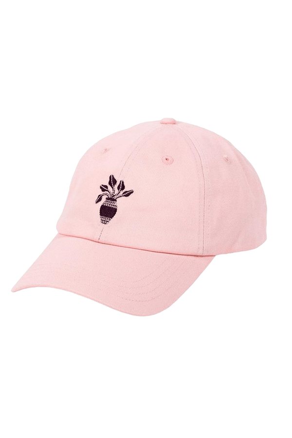 AMPHORA・Dad Hat・Rose